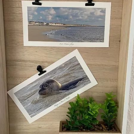 Baie Island à 50 M De La Plage… *